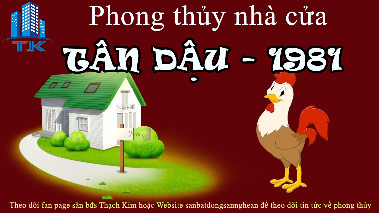tu-van-phong-thuy-nha-o-cho-gia-chu-tuoi-tan-dau-–-sinh-nam-1981